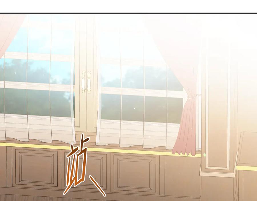 第246页
