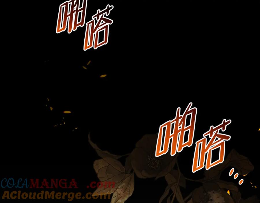 第261页