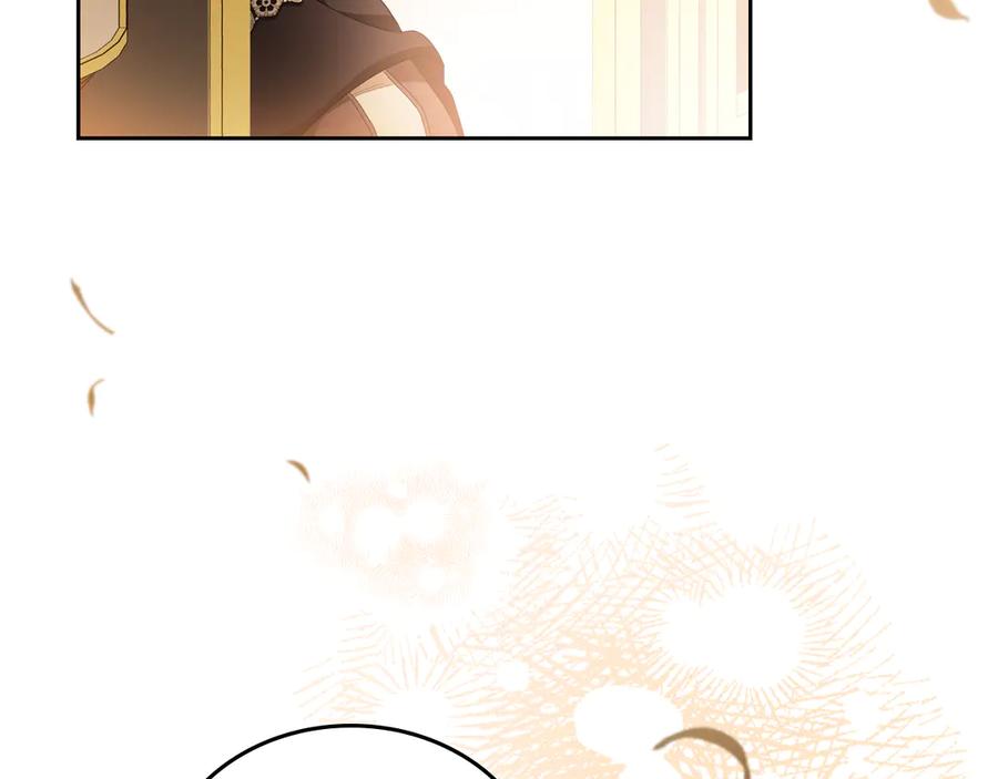第246页