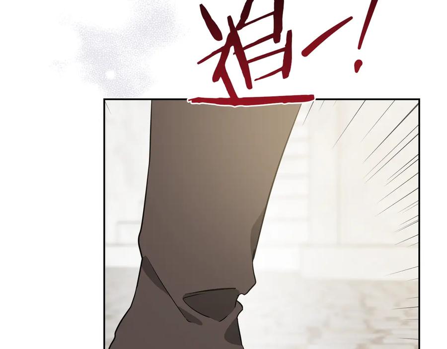 第231页