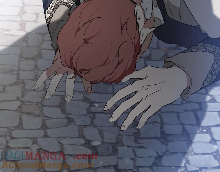 第253页