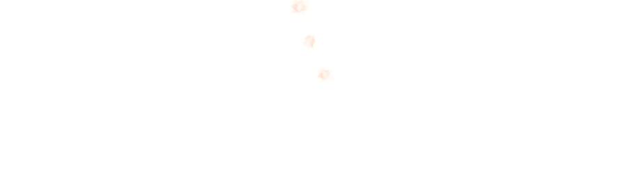第223页