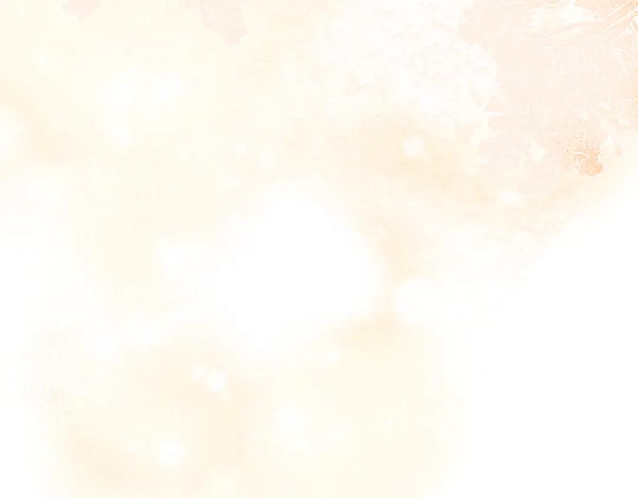 第231页