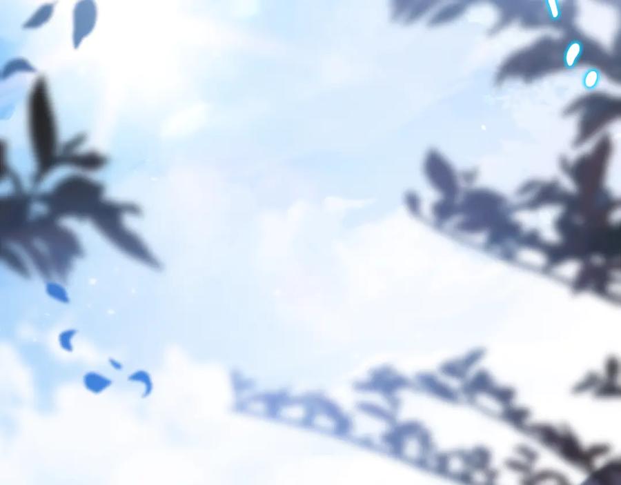 第240页