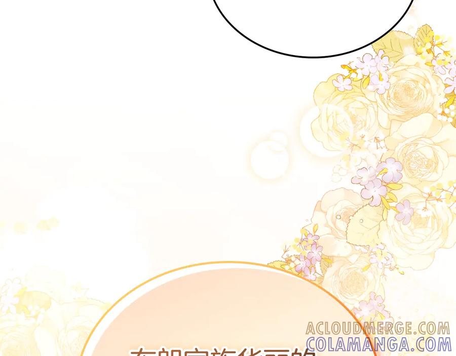 第245页
