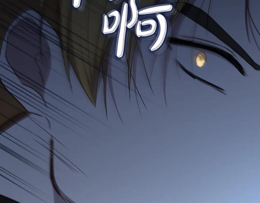 第218页