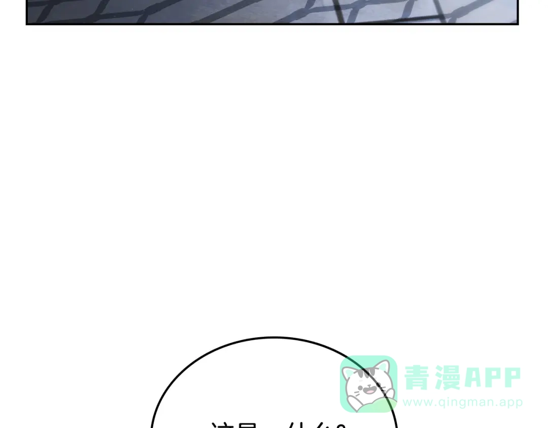 第231页