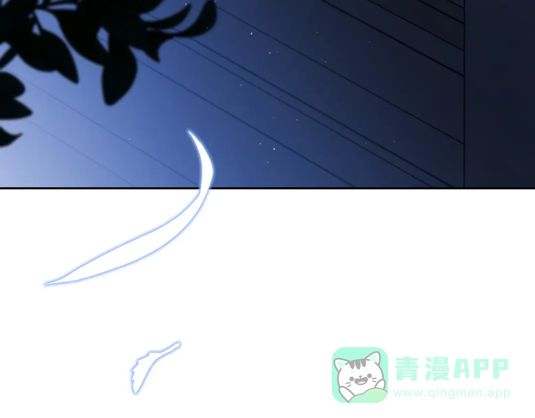 第241页