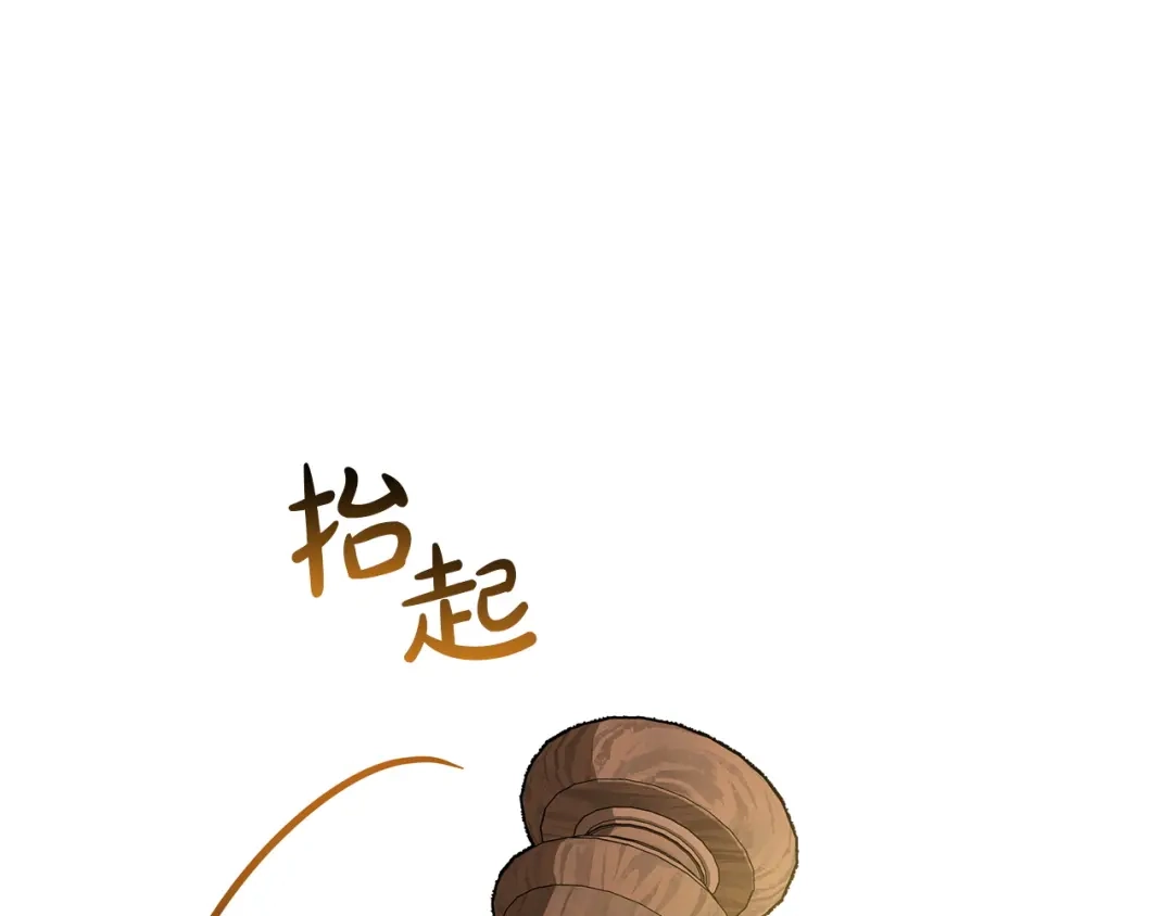 第245页