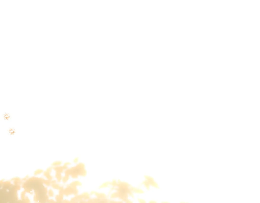 第205页