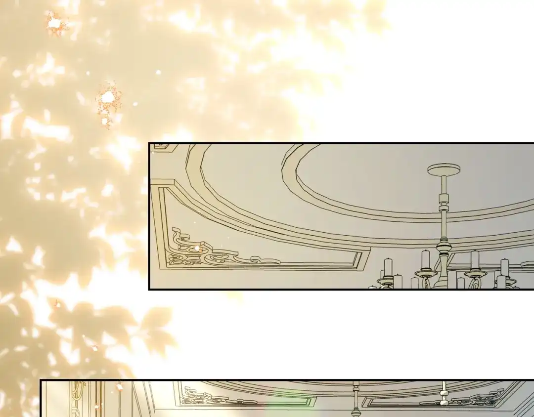 第206页