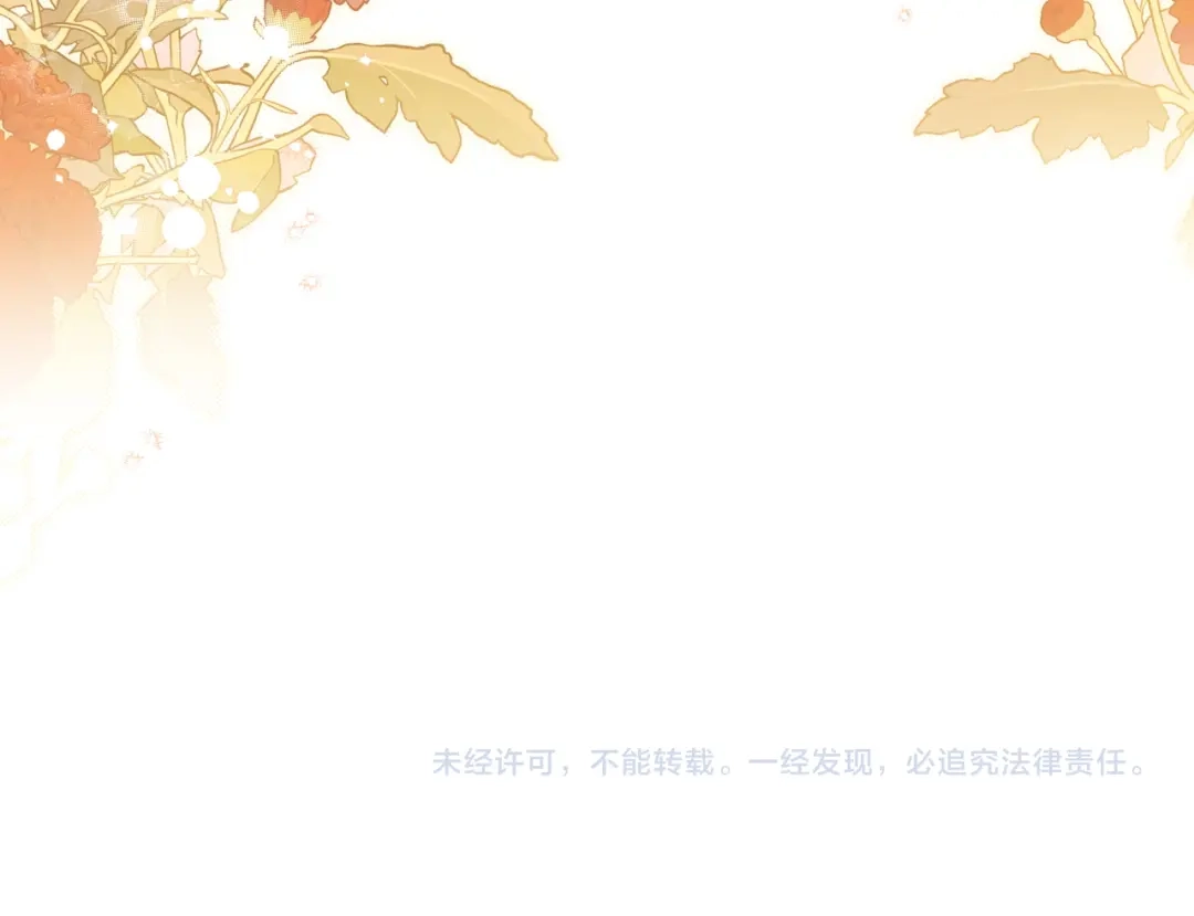 第217页