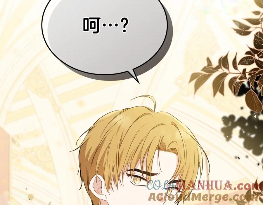 第217页