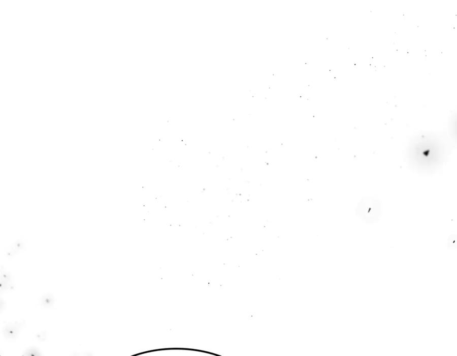 第224页