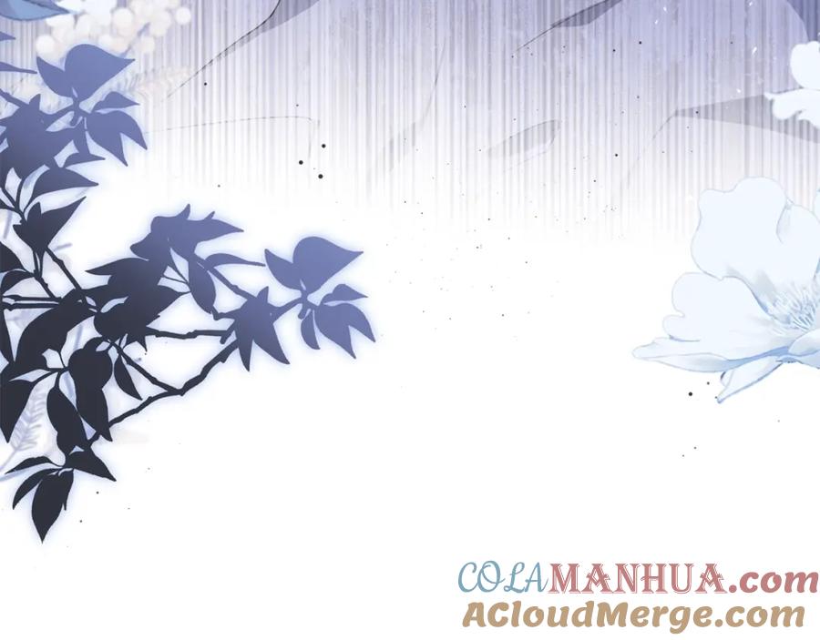 第241页