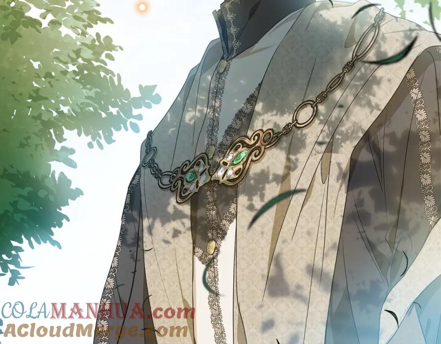 第213页