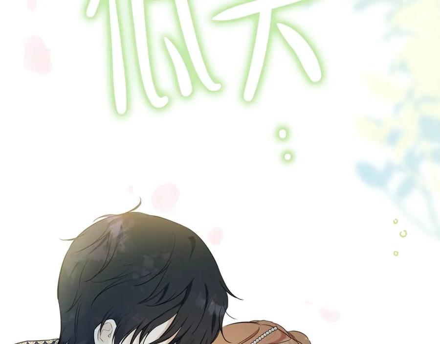 第244页