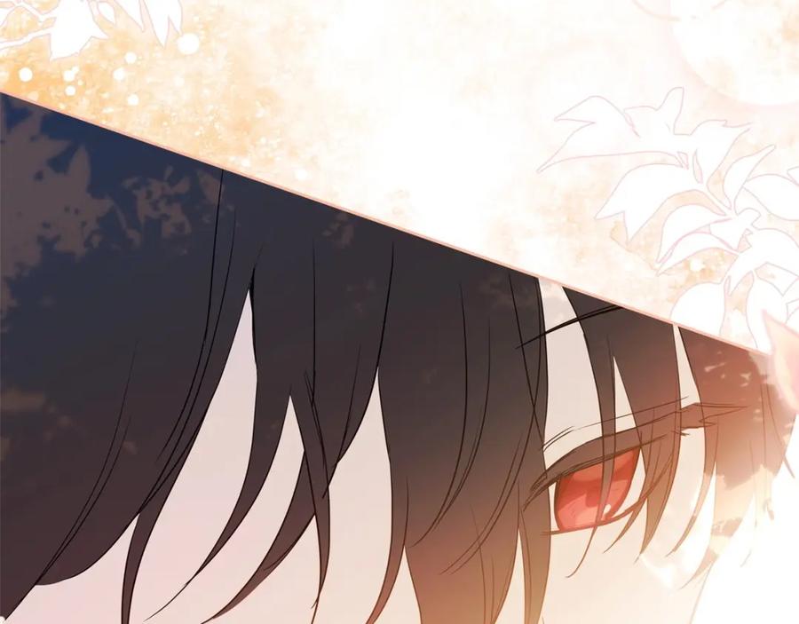 第247页