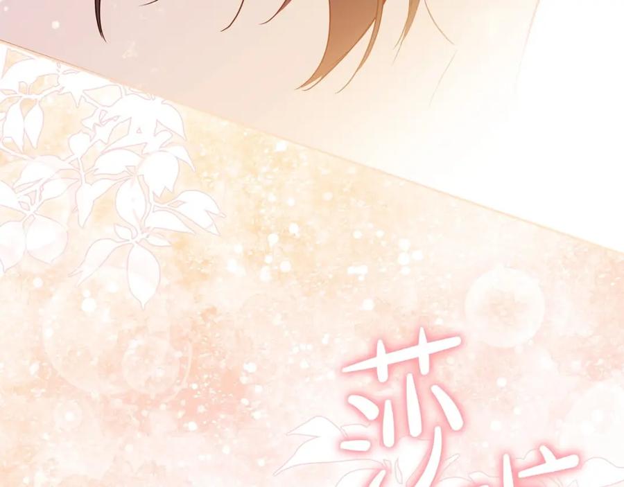 第248页