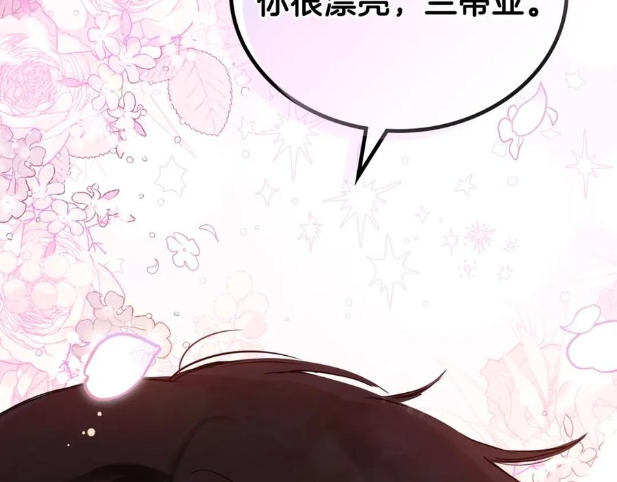 第255页