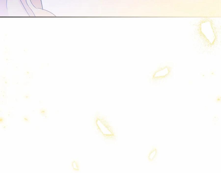 第224页