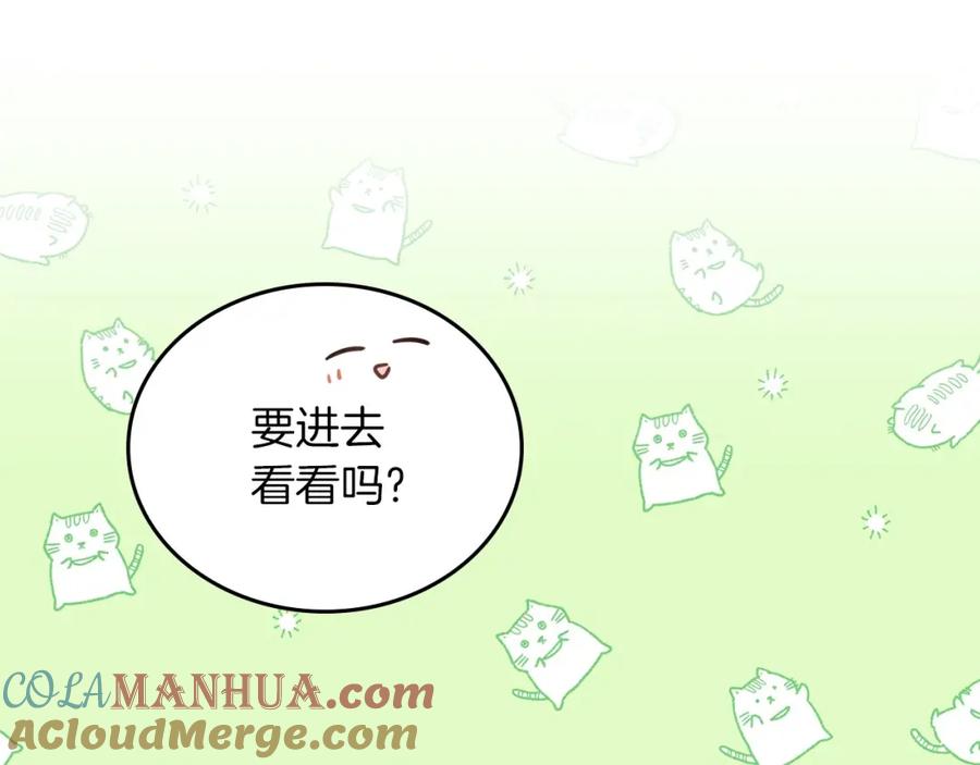 第217页