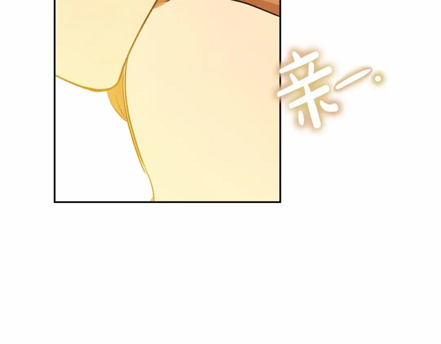 第254页