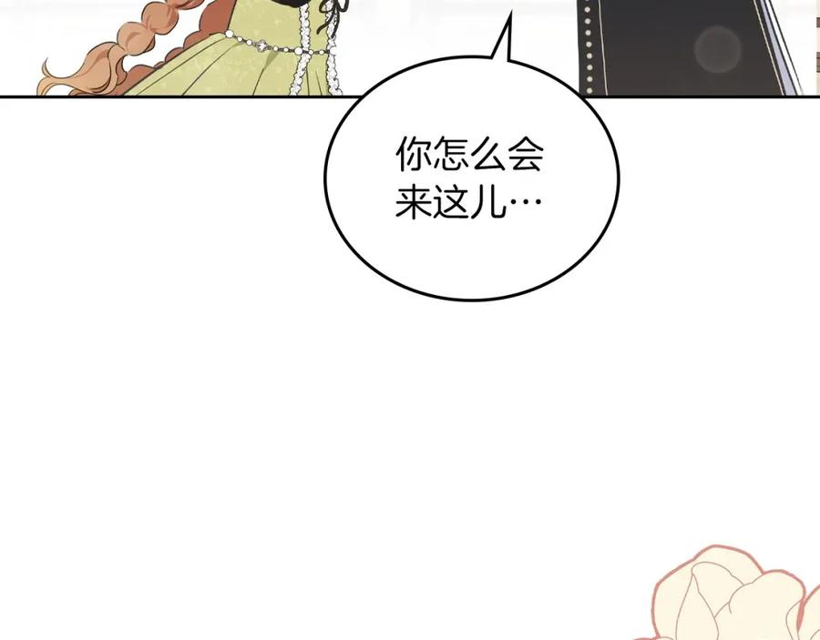 第223页