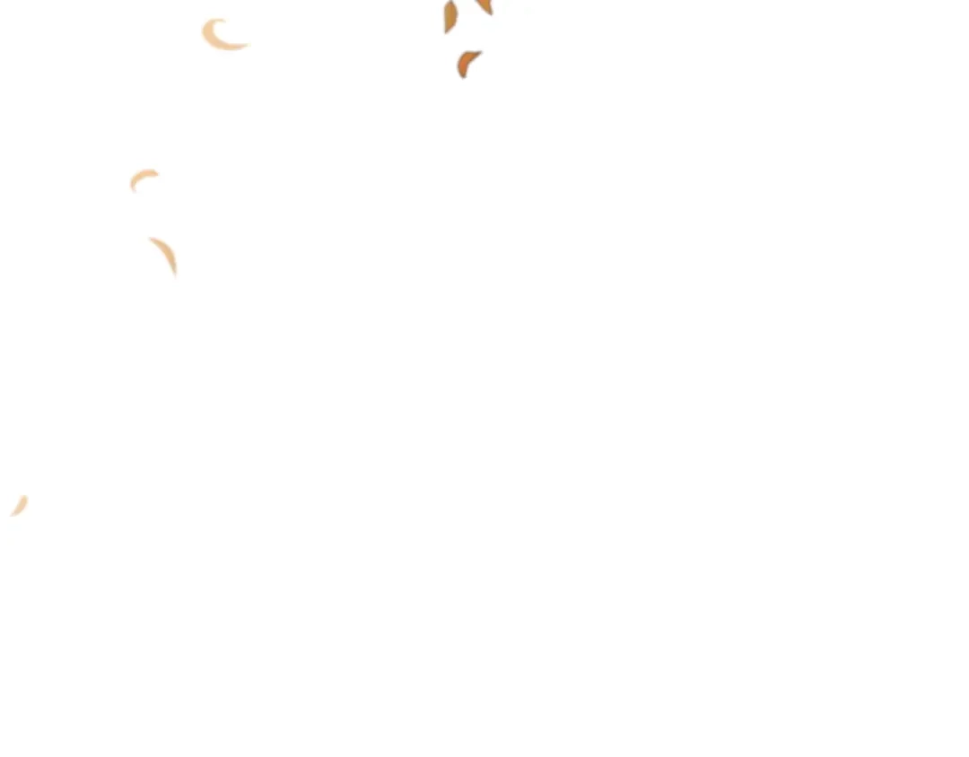 第485页