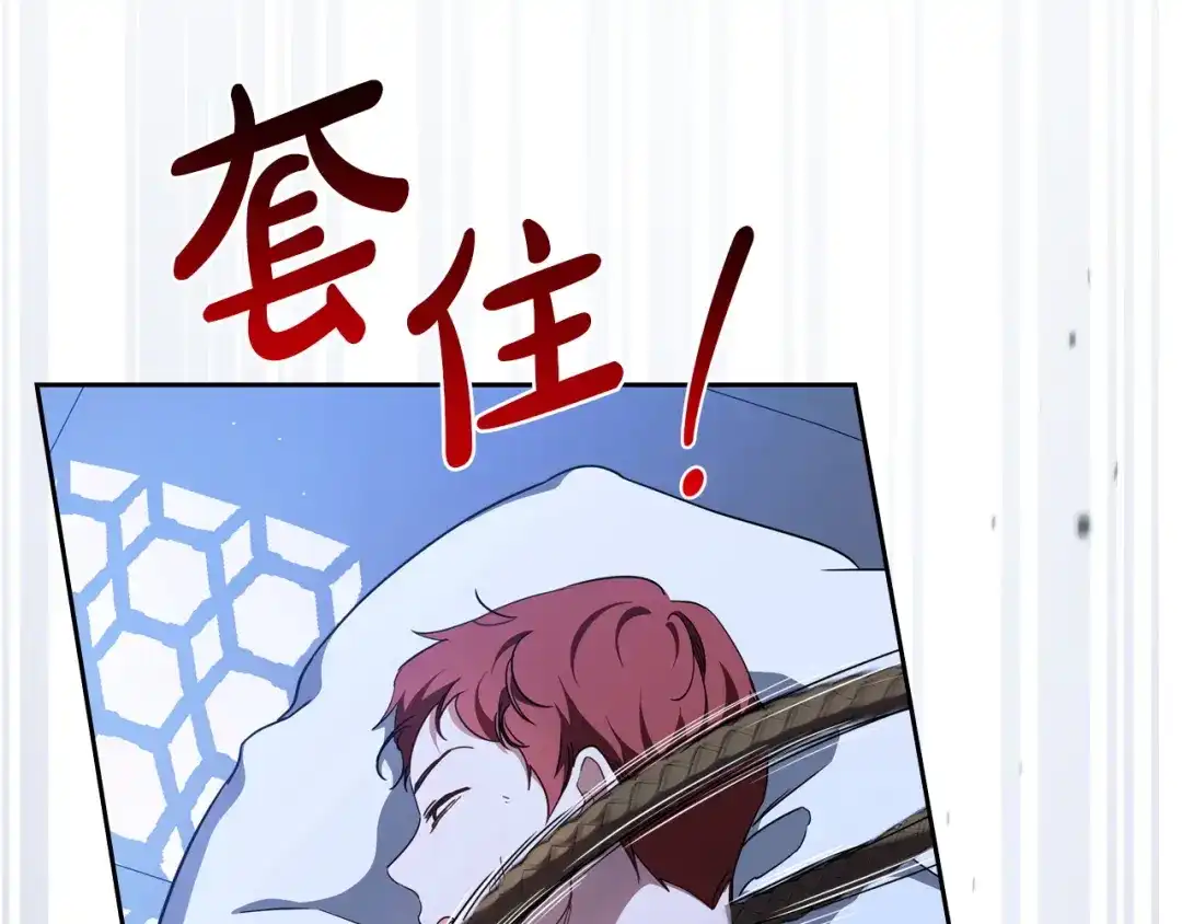 第411页