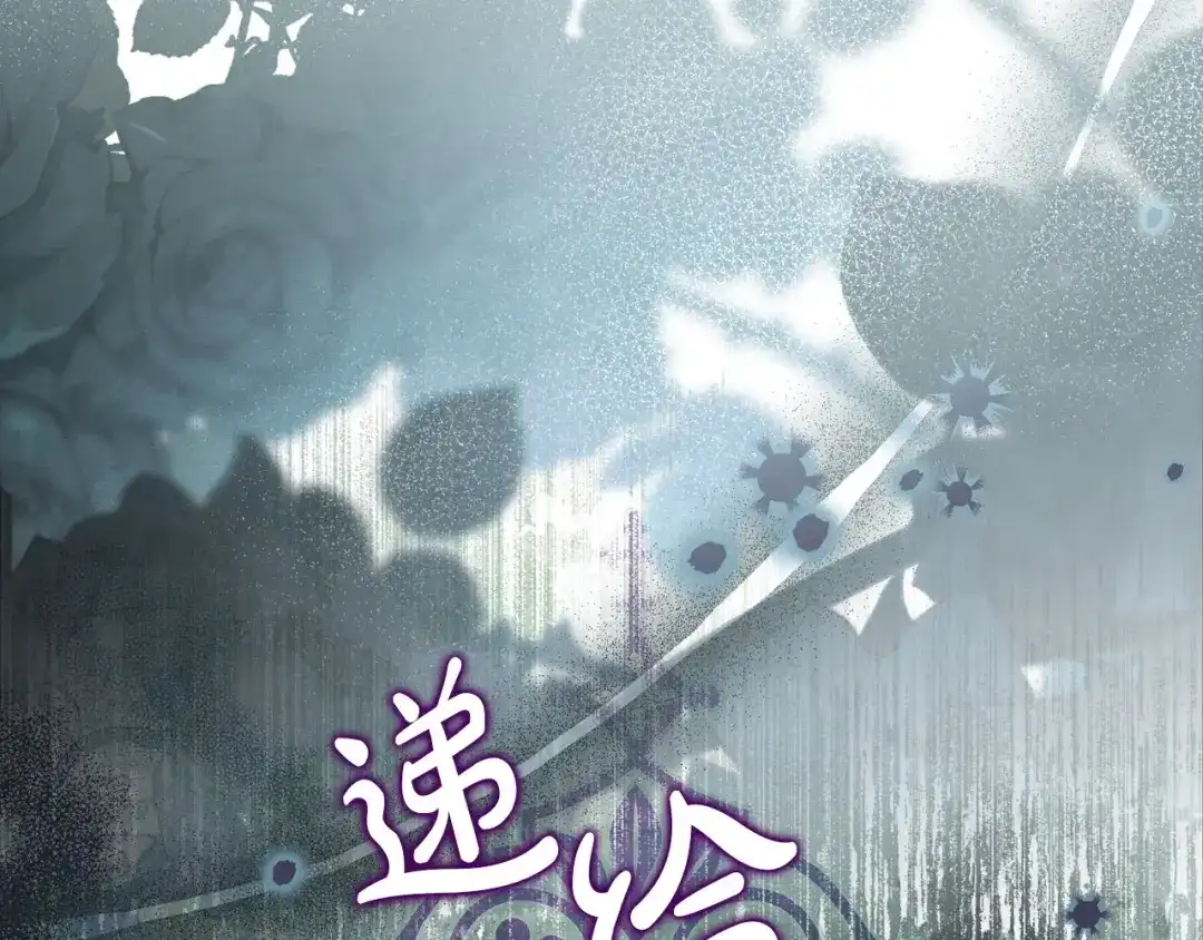 第262页