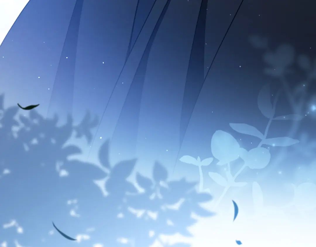 第247页