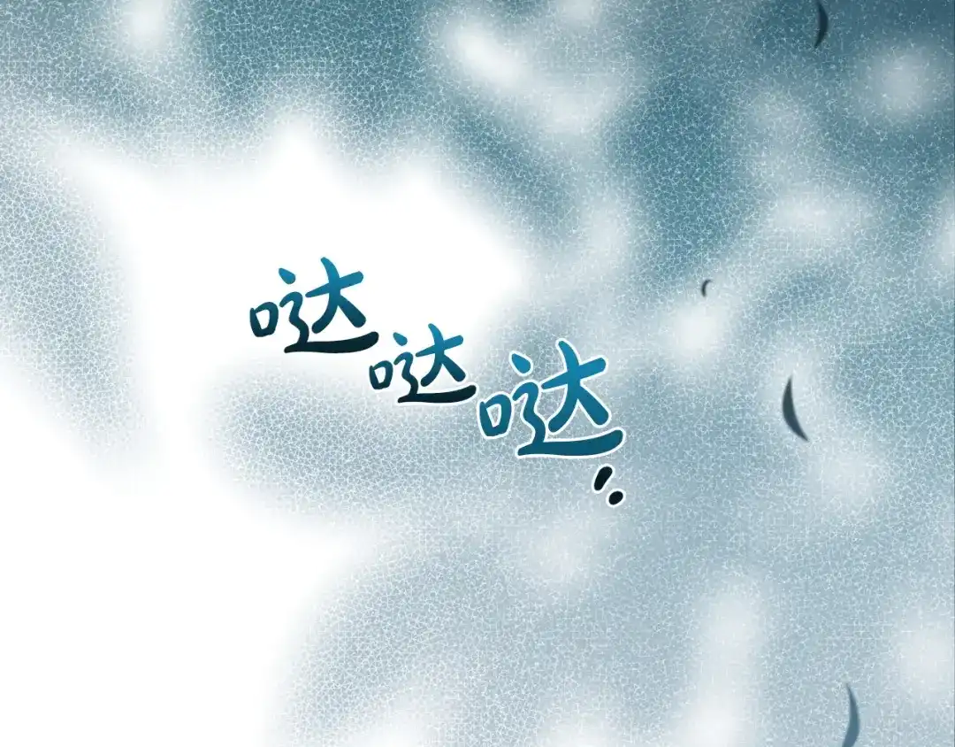 第204页