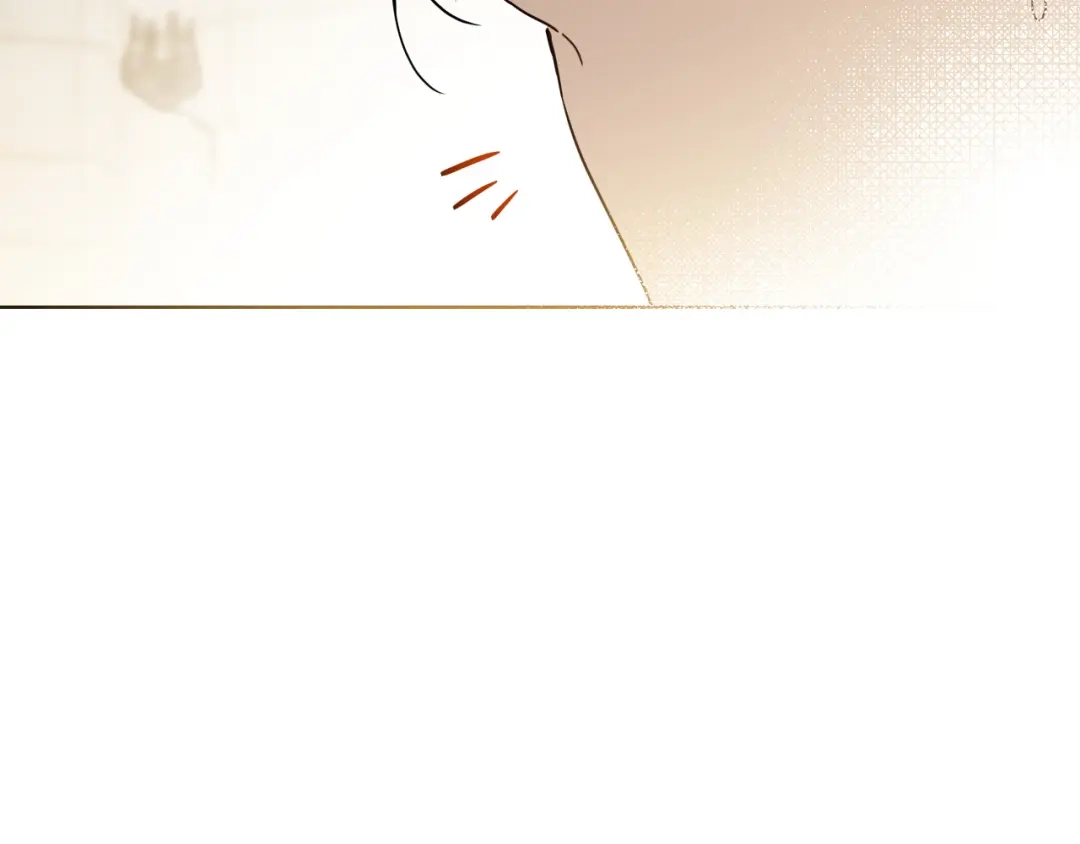 第241页