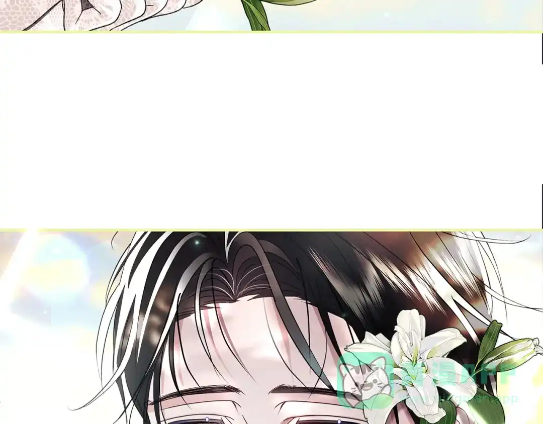 第206页
