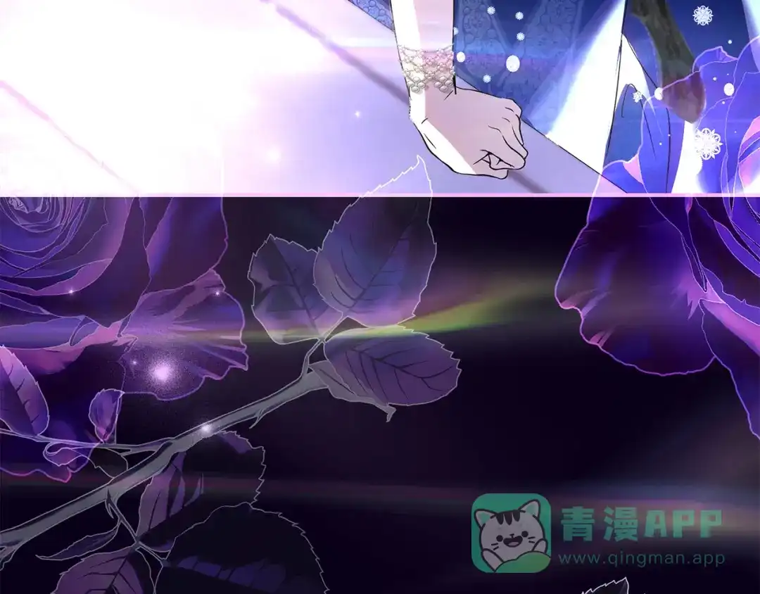 第221页