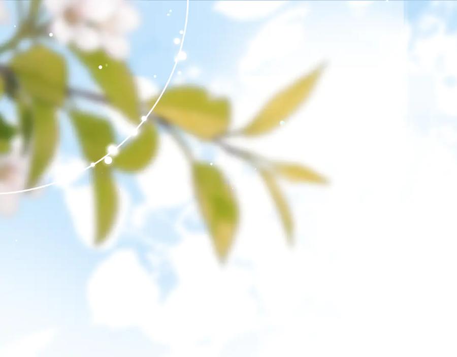 第151页