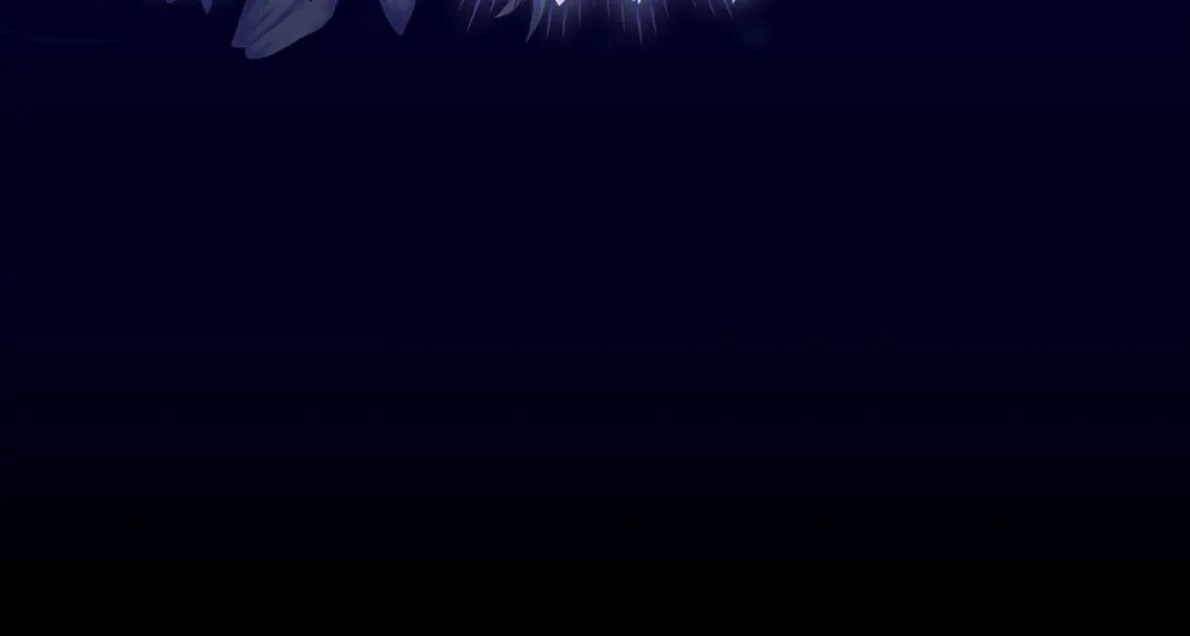 第197页