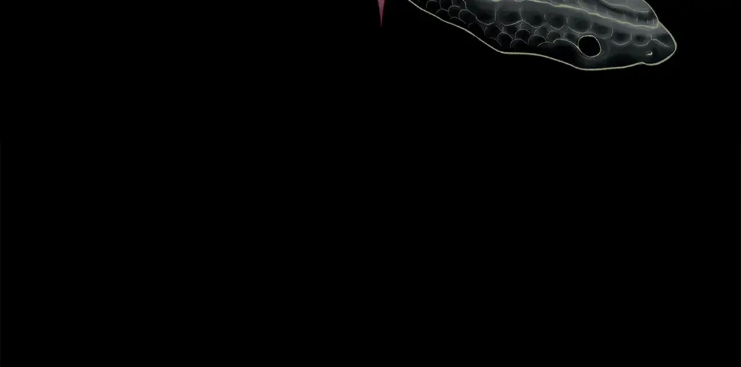 第207页