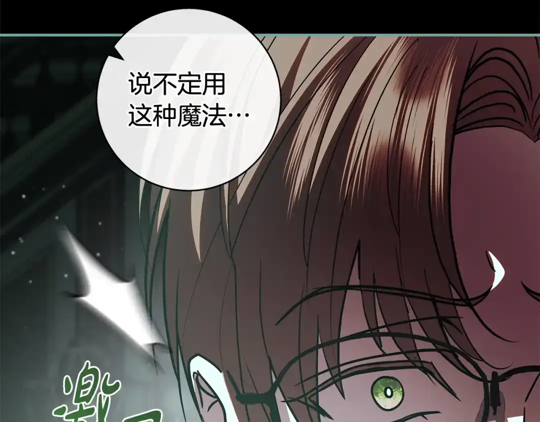 反派大人，除了结婚我都可以 第66话 我愿为你万劫不复 第150页