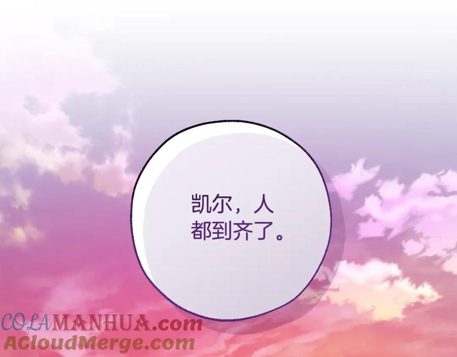 第205页
