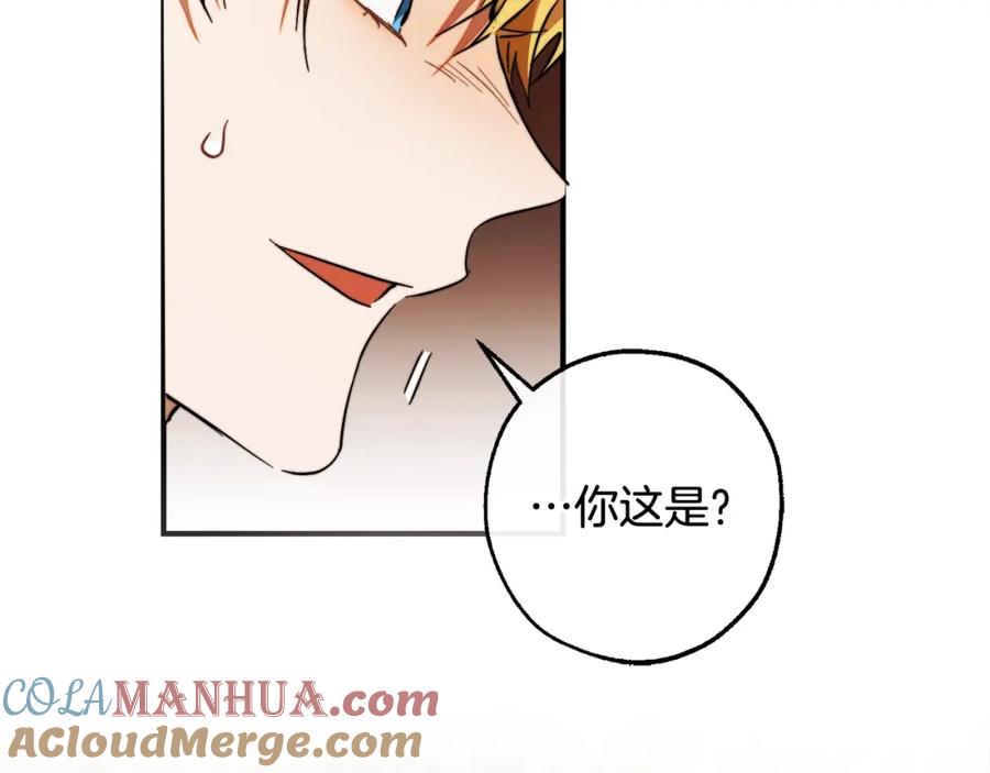 第185页