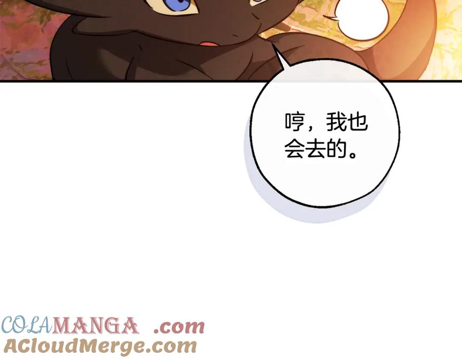 第217页