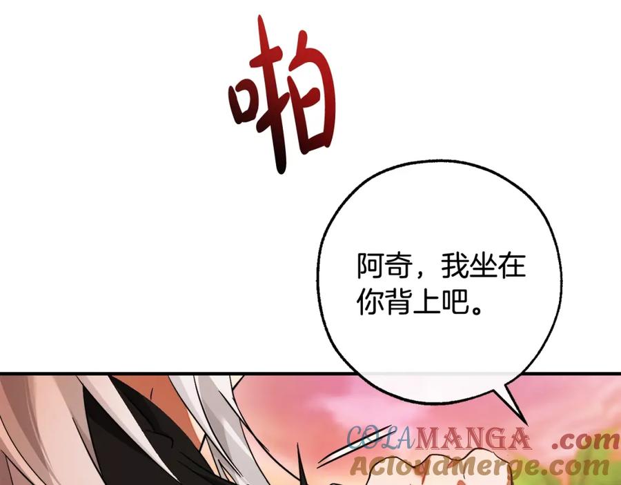 第229页