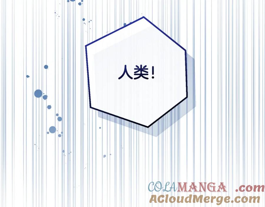 第233页