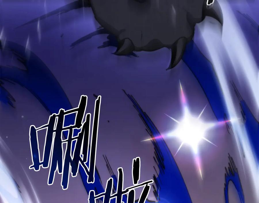 第238页