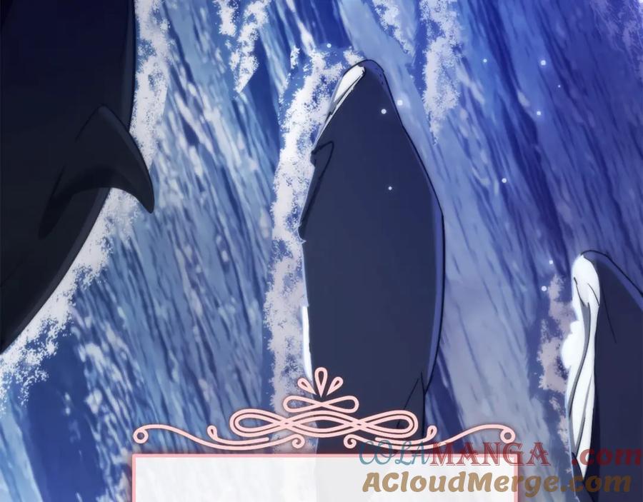第245页