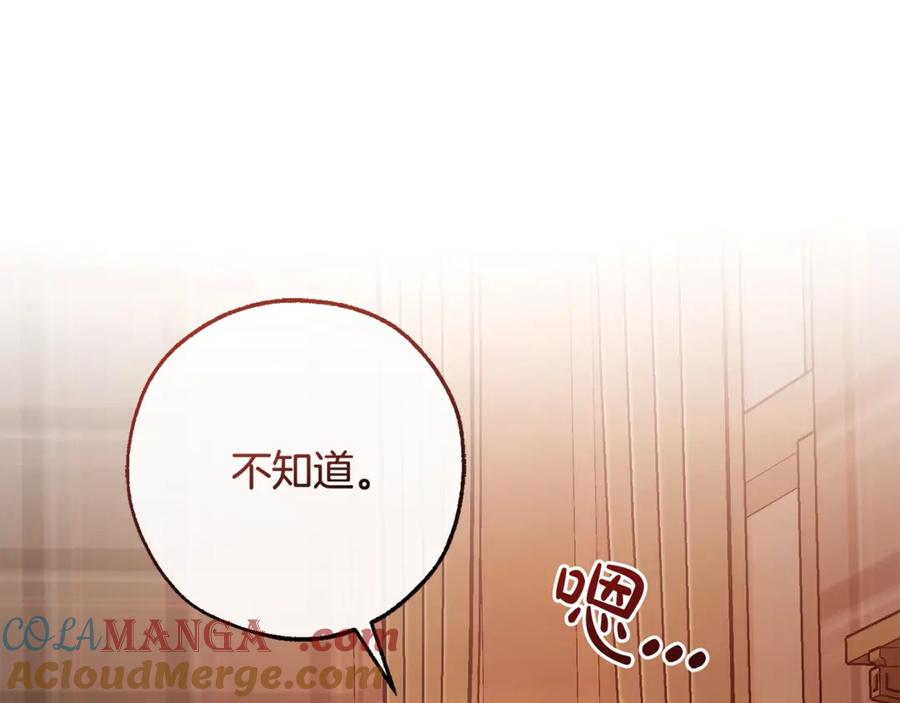 第217页