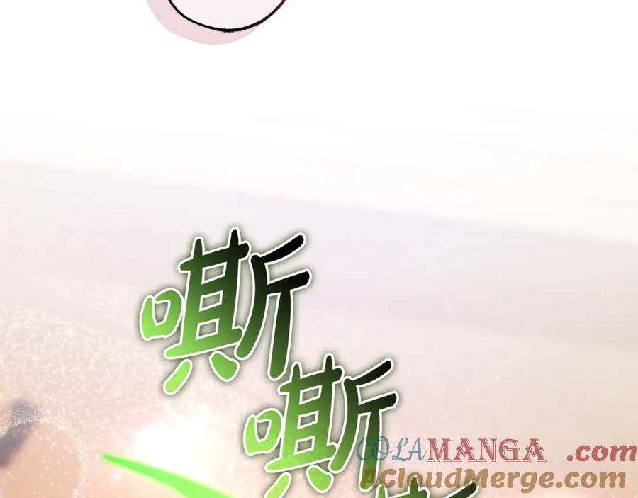 第205页