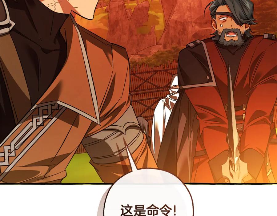第203页